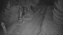 Bílá - běžecká trať