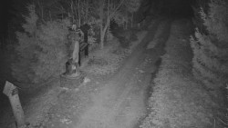 Bílá - běžecká trať