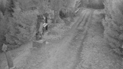 Bílá - běžecká trať