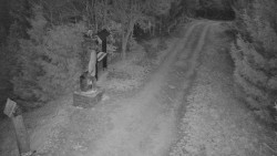 Bílá - běžecká trať