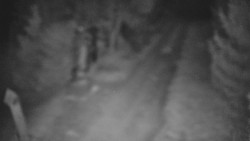 Bílá - běžecká trať