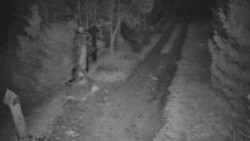 Bílá - běžecká trať