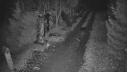 Bílá - běžecká trať