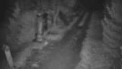 Bílá - běžecká trať