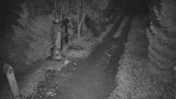 Bílá - běžecká trať