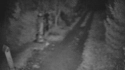 Bílá - běžecká trať