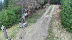 Bílá - běžecká trať