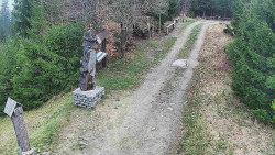 Bílá - běžecká trať