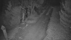 Bílá - běžecká trať