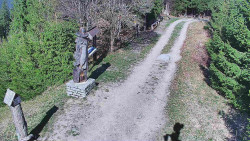 Bílá - běžecká trať