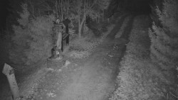 Bílá - běžecká trať