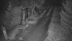 Bílá - běžecká trať