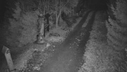 Bílá - běžecká trať