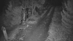 Bílá - běžecká trať