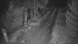 Bílá - běžecká trať