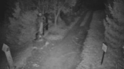 Bílá - běžecká trať