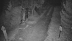 Bílá - běžecká trať