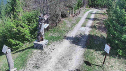 Bílá - běžecká trať