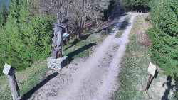 Bílá - běžecká trať