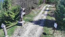 Bílá - běžecká trať