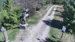 Bílá - běžecká trať