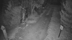 Bílá - běžecká trať