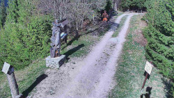 Bílá - běžecká trať