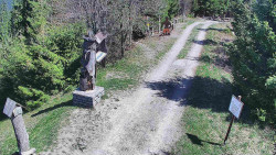 Bílá - běžecká trať