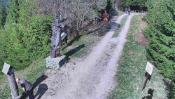 Bílá - běžecká trať