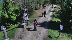 Bílá - běžecká trať