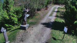 Bílá - běžecká trať