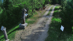 Bílá - běžecká trať