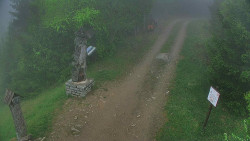 Bílá - běžecká trať