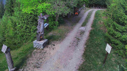 Bílá - běžecká trať
