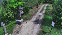 Bílá - běžecká trať