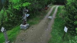 Bílá - běžecká trať