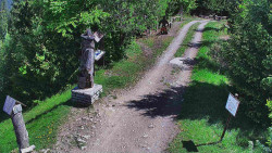 Bílá - běžecká trať