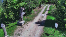 Bílá - běžecká trať