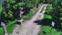 Bílá - běžecká trať