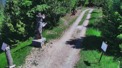 Bílá - běžecká trať