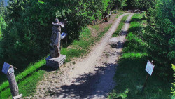 Bílá - běžecká trať