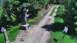 Bílá - běžecká trať
