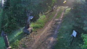 Skiareál Bílá - Bílá - běžecká trať - 2.6.2026 v 06:30 Skiareál Bílá - Bílá - běžecká trať - 2.6.2026 v 06:30