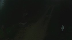 White - running track