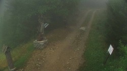 Biały – trasa biegowa
