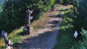 Ośrodek narciarski Bílá - Biały – trasa biegowa - 8.8.2026 v 09:30 Ośrodek narciarski Bílá - Biały – trasa biegowa - 8.8.2026 v 09:30
