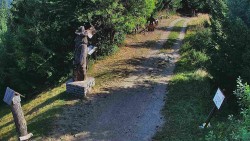 Bílá - běžecká trať