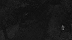 Biały – trasa biegowa