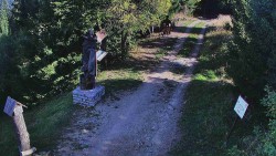 Bílá - běžecká trať