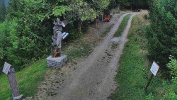 Biały – trasa biegowa